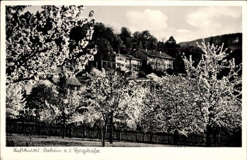 Seeheim jugenheim der - an,