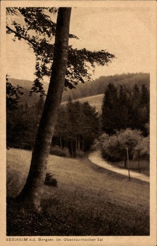 Ober beerbach seeheim - ak,
