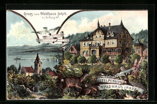 Künstler konstanz - künstler-ak,