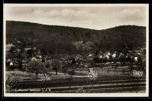 Seeheim b ortsansicht - a., b.,