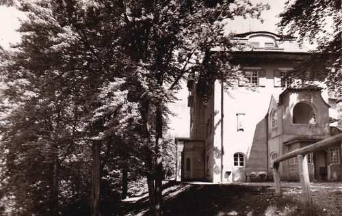 Postkarte ammerland - -,