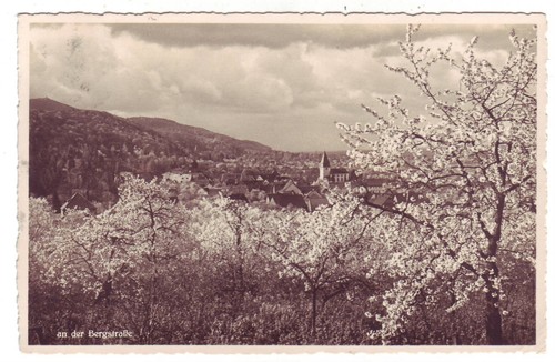 Luftkurort seeheim der - luftkurort,