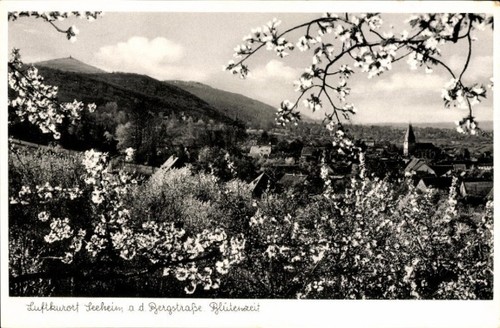 Seeheim jugenheim der - jugenheim, an