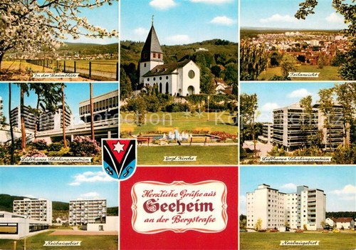 Seeheim jugenheim baumbluete - seeheim-jugenheim,