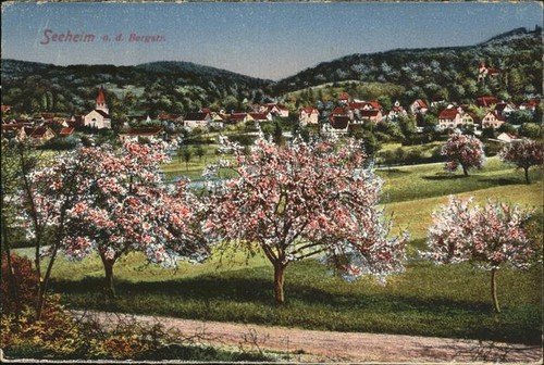 Seeheim-Jugenheim