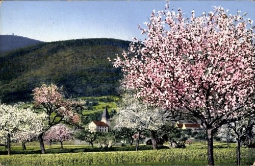 Seeheim jugenheim der - seeheim, an