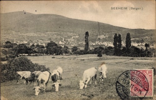 Seeheim jugenheim der - jugenheim, an