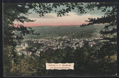 Ansichtskarte seeheim - ansichtskarte,